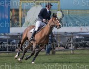 Bost Quod Coer TosTour2013- S5 2383 : Arezzo, Arezzo Equestrian Centre, Bost Roger Yves, Quod Coer de la Loge, Toscana Tour 2013, foto di Stefano Secchi ©